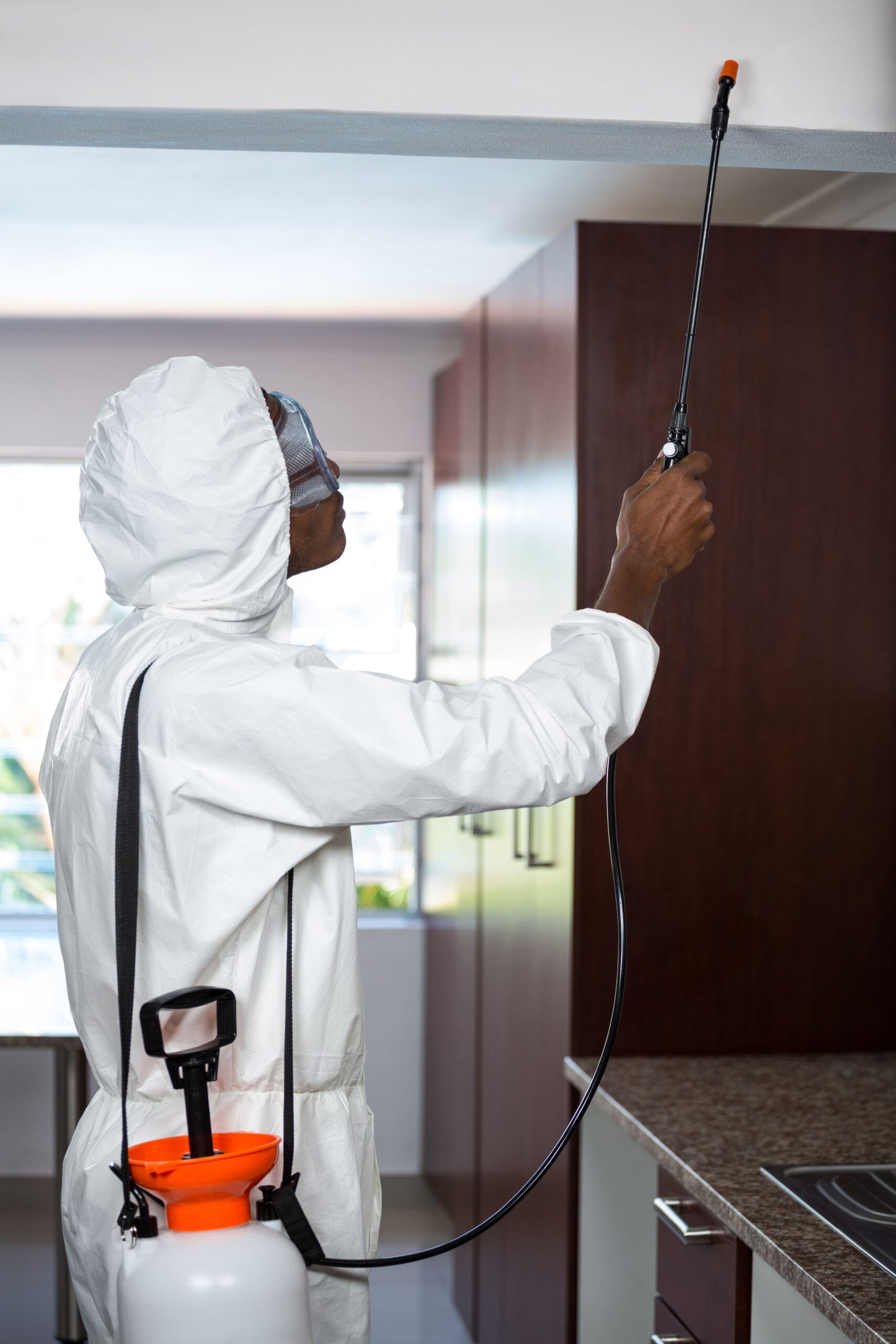 Pest control man spraying pesticide 1 scaled